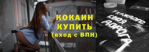 прущие грибы Нефтегорск