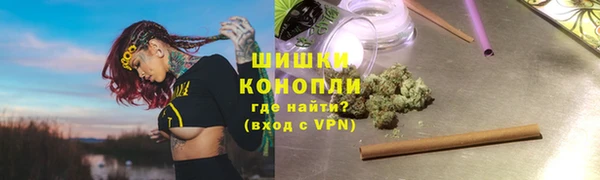 прущие грибы Нефтегорск