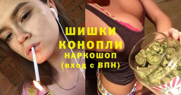 прущие грибы Нефтегорск