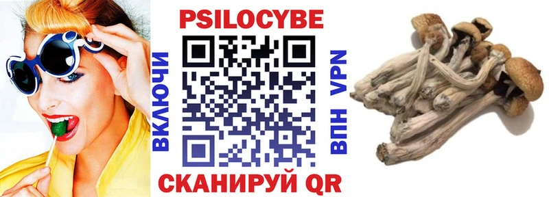 где продают наркотики  Ростов  нарко площадка наркотические препараты  Галлюциногенные грибы Psilocybine cubensis 